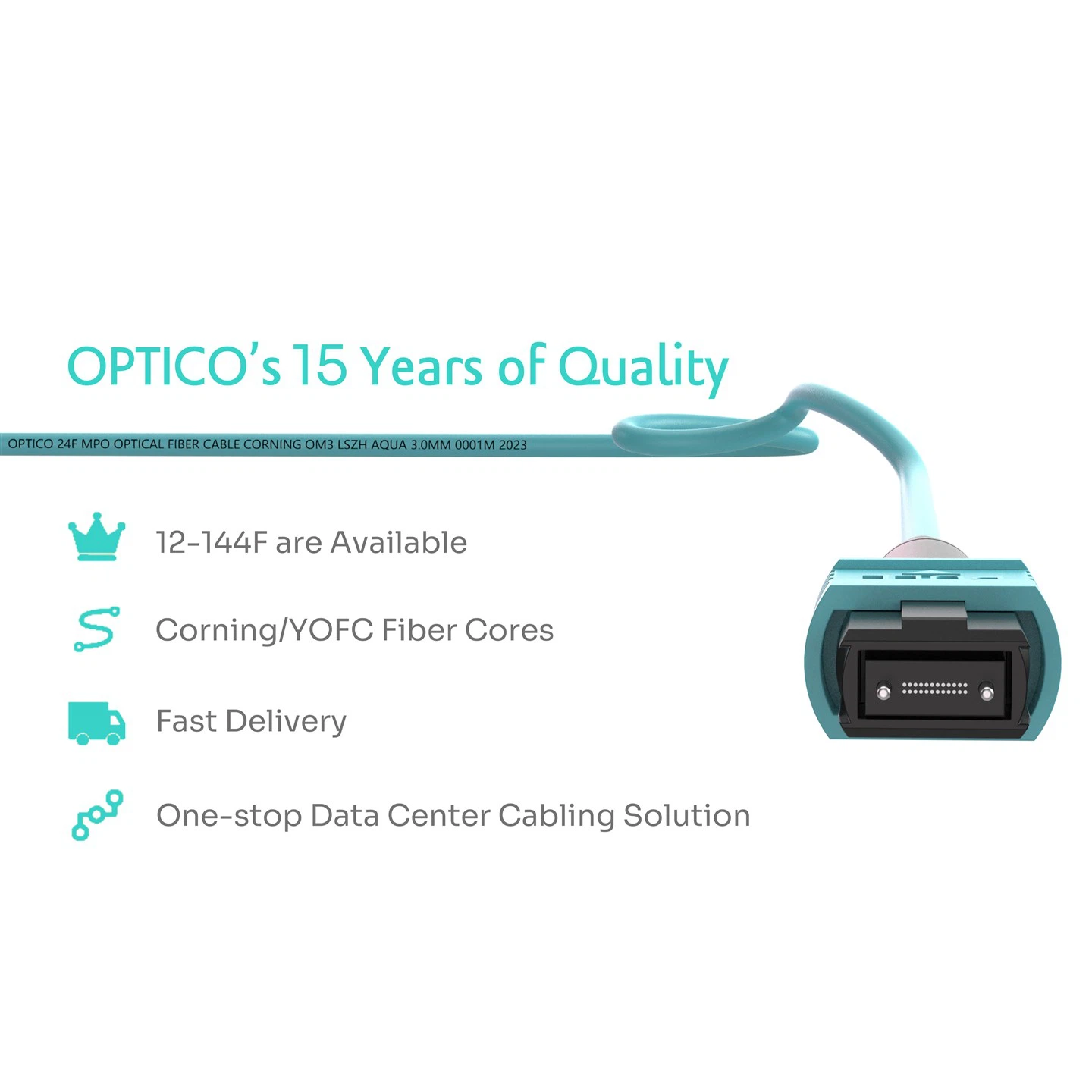 24F MPO-MPO Male Trunk Cable OM3